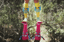 Fred-Carla-Lily Socks Set - MooshWalks
