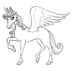 COLORING BOOK